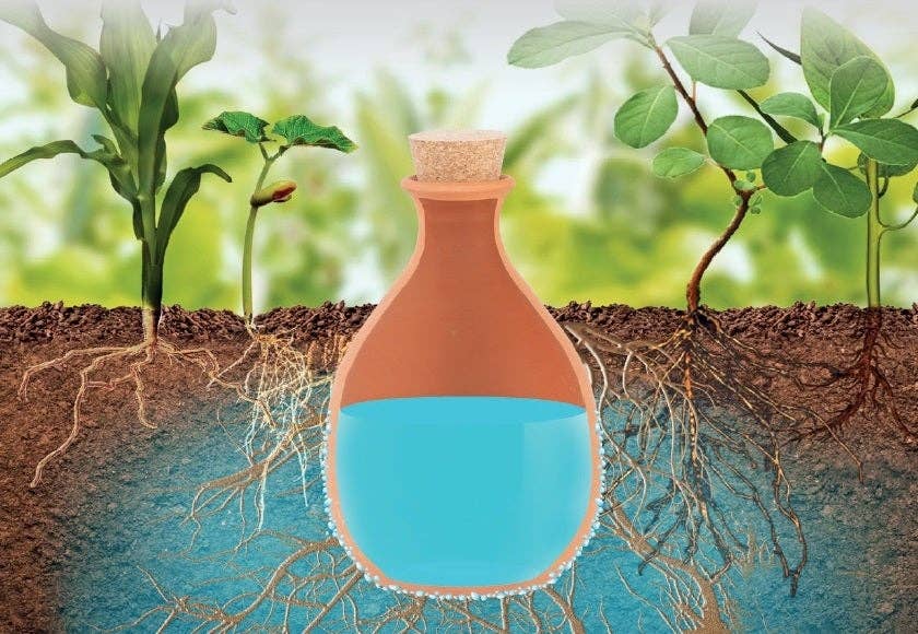 Olla Underground Watering Bottle, Small