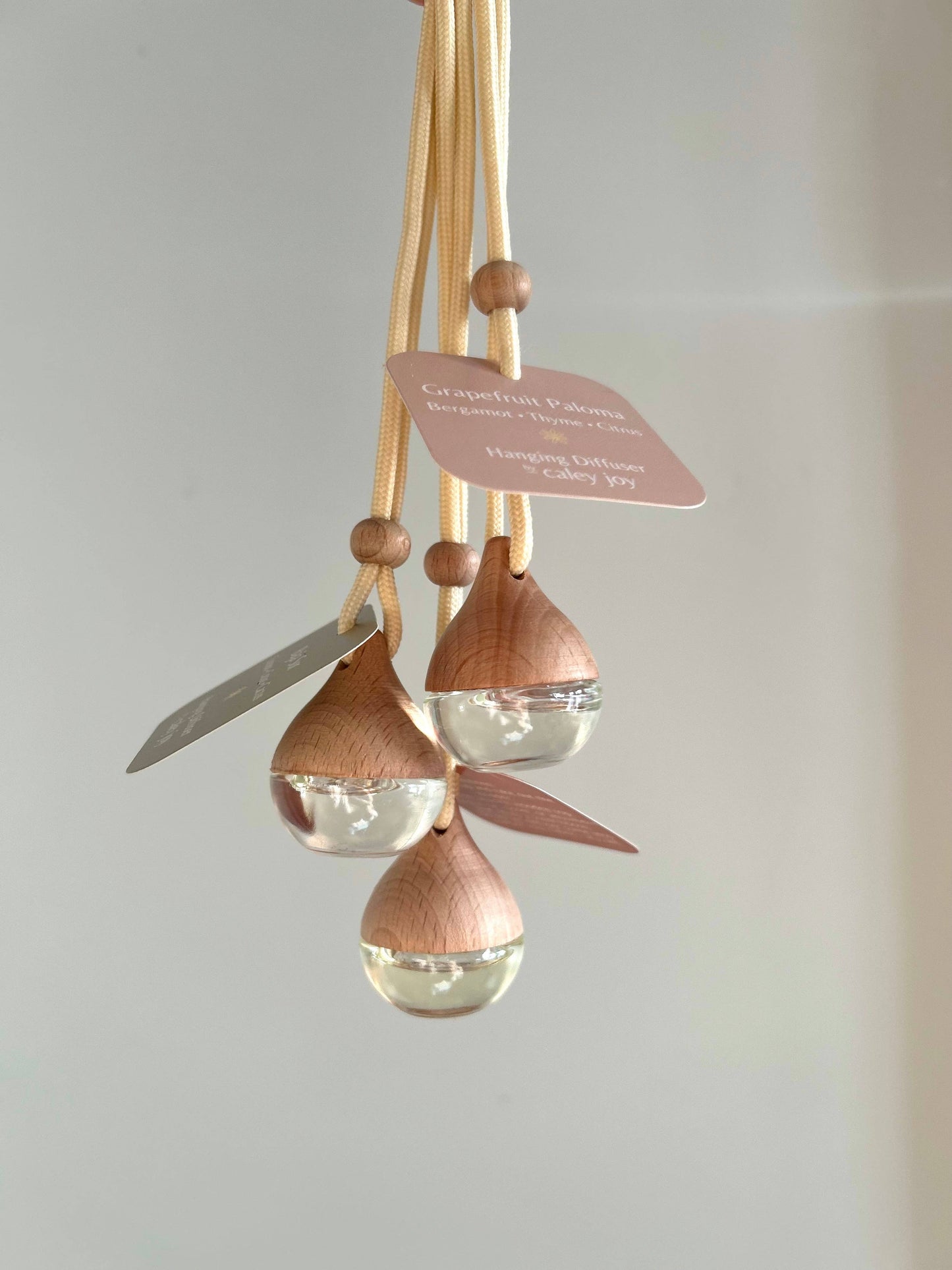 Hanging Car Diffusers | Baja Sur