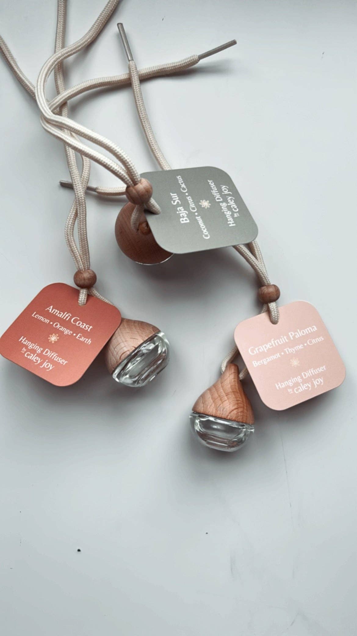 Hanging Car Diffusers | Baja Sur