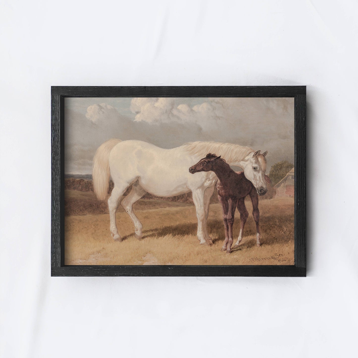 Horse and Foal Painting Framed Print