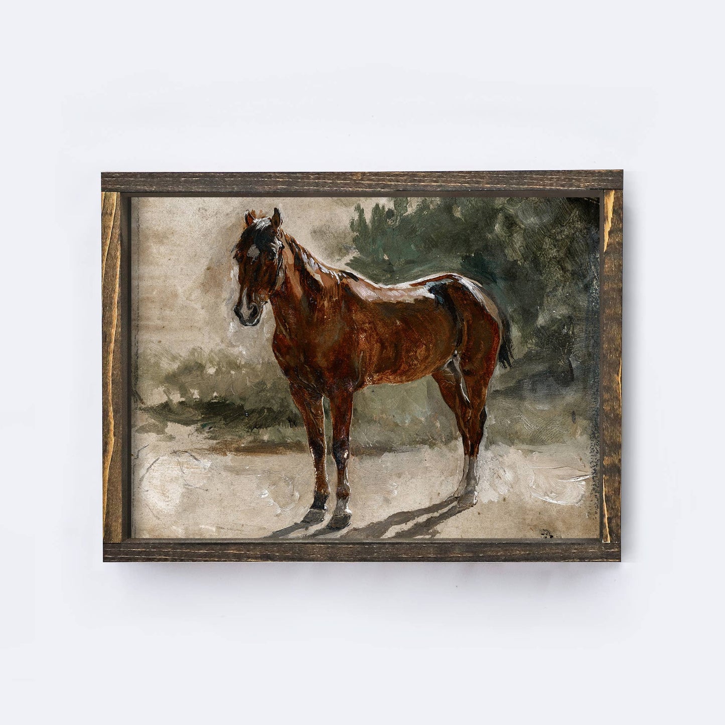 Vintage Horse Painting Framed Print