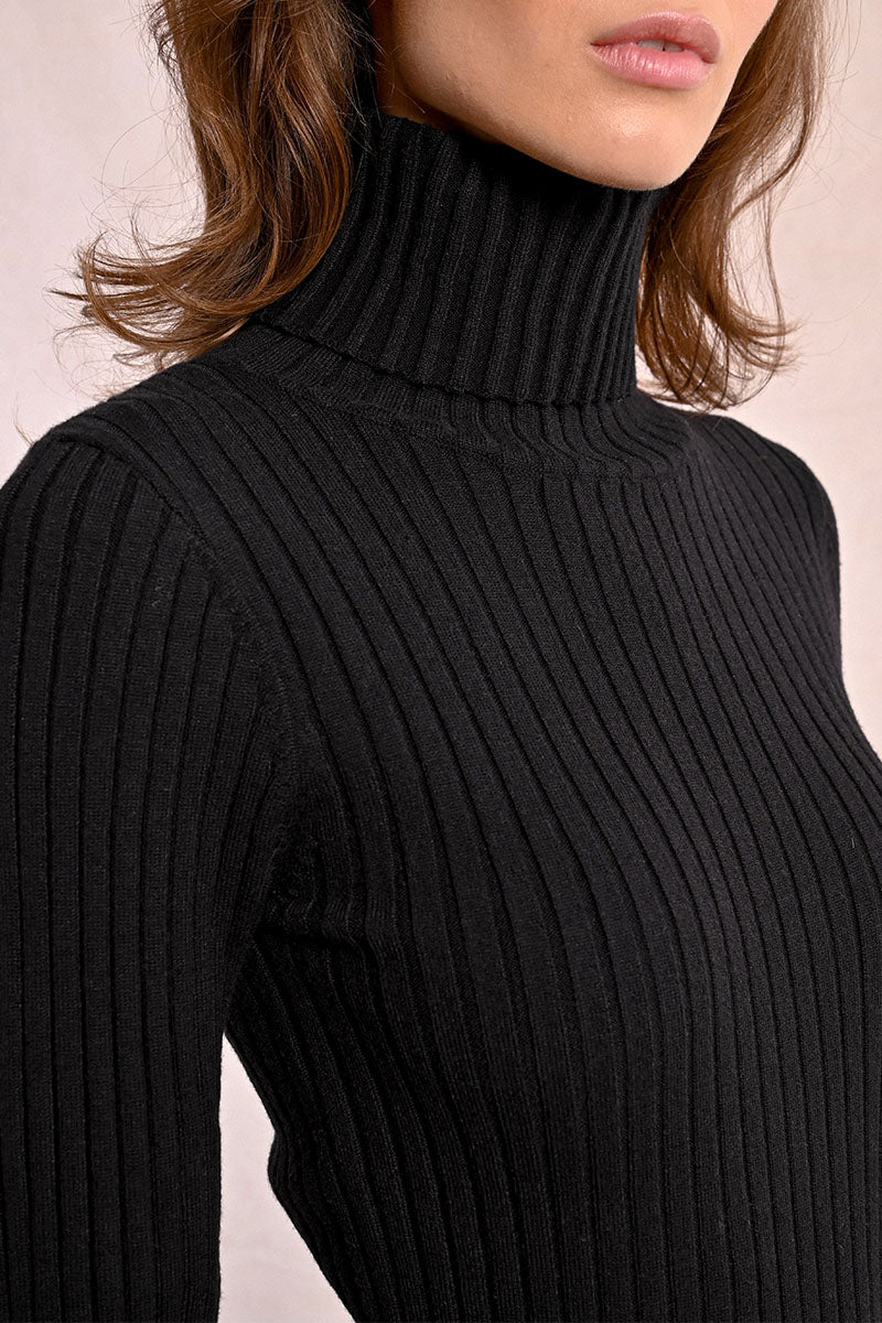 Romy Ribbed Turtleneck