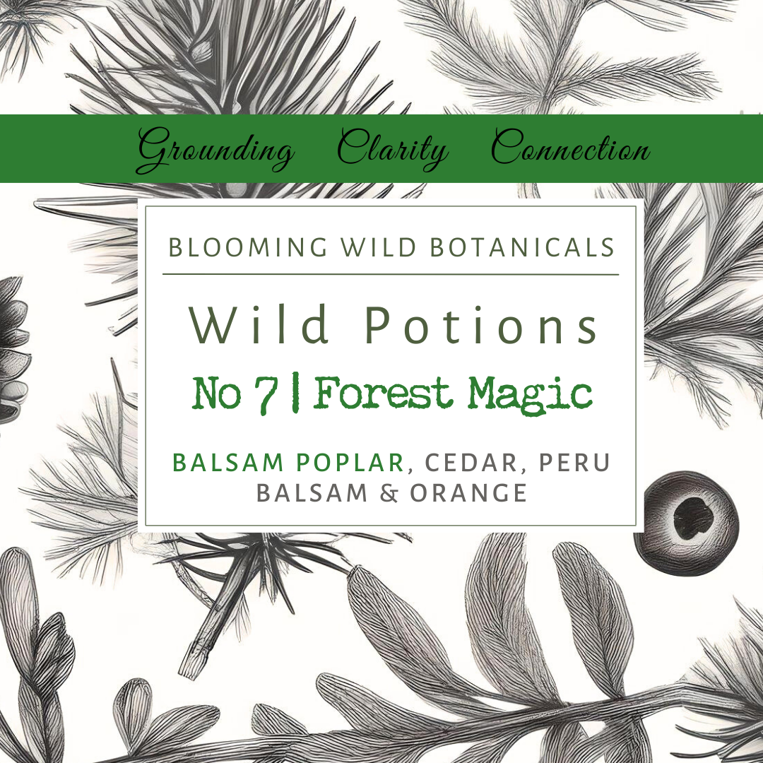 Forest Magic Aromatherapy Potion No 7