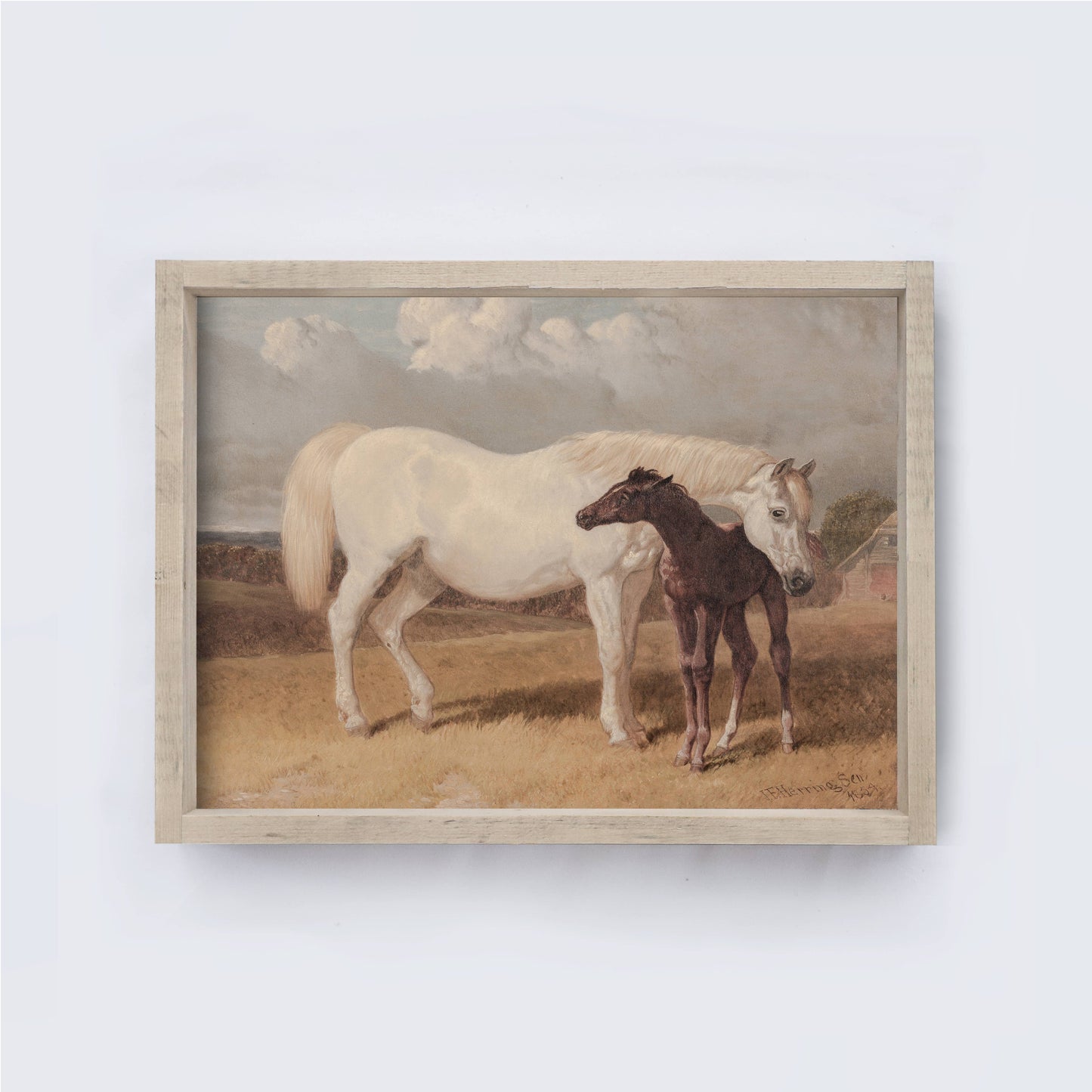 Horse and Foal Painting Framed Print