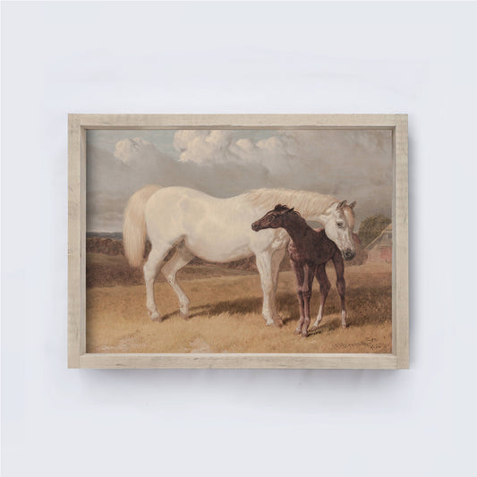 Horse and Foal Painting Framed Print