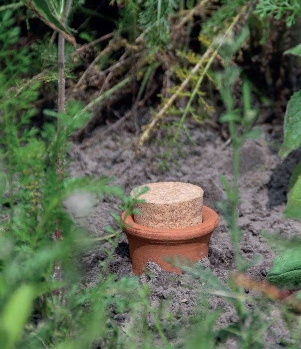 Olla Underground Watering Bottle, Small